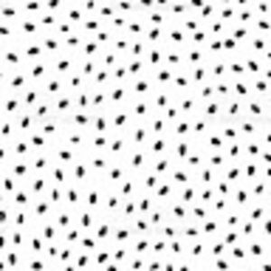 Meet your Posher, Haylee